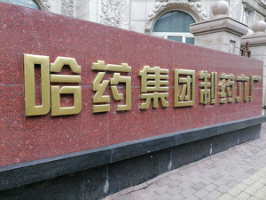 哈药集团有限公司